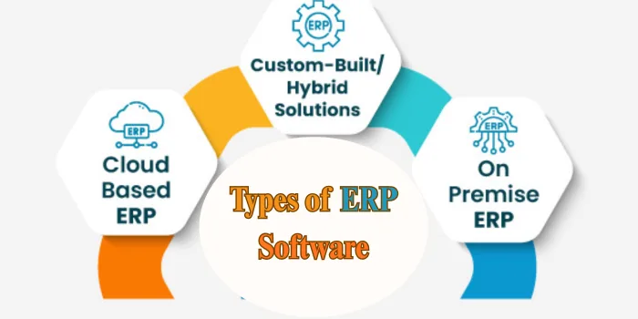 Types of ERP Software